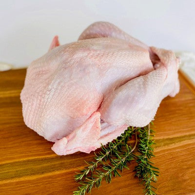 Raw Turkey (with option to roast)
