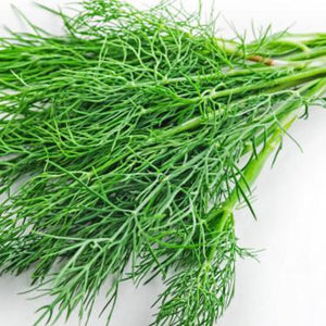 Herbs - Dill (bunch) - Rosalie Gourmet Market