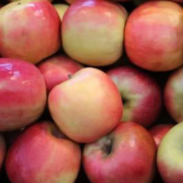 Apples - Pink Lady - medium (each) - Rosalie Gourmet Market