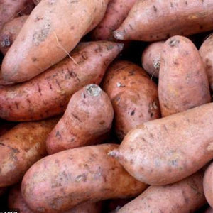 Sweet Potato 1kg (approx) - Rosalie Gourmet Market