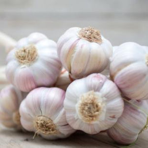 Garlic (each) - Rosalie Gourmet Market