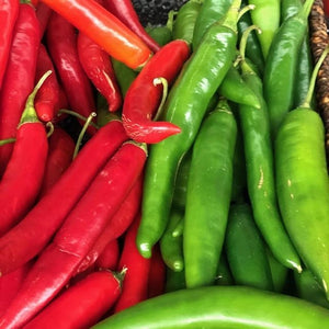 Chilli - Red (each) - Rosalie Gourmet Market