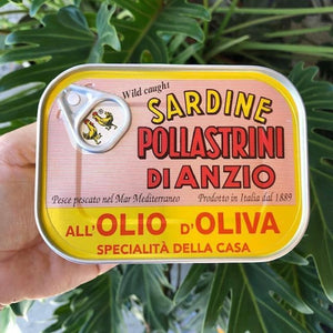 Pollastrini Di Anzio Wild Caught Sardines in Olive Oil 100g - Rosalie Gourmet Market